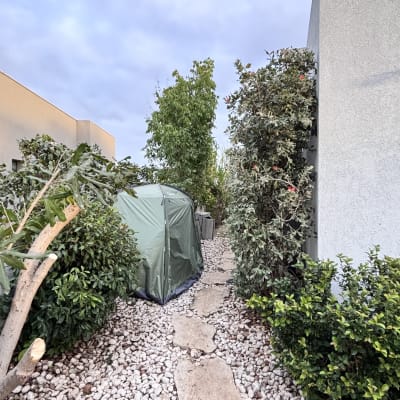 שביל אבנים בגינה עם צמחייה ואוהל ירוק