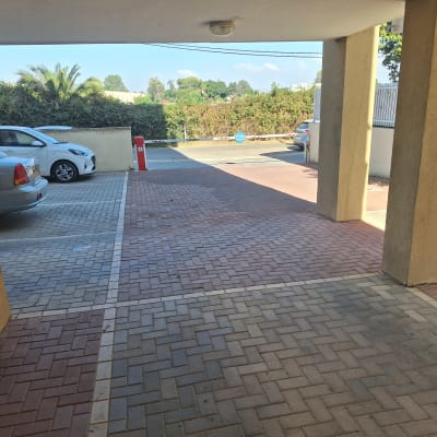 חניה עם מכוניות ועצים ברקע