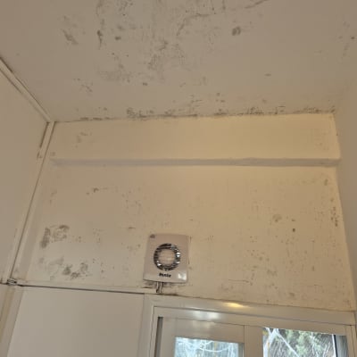 תקרה עם סימני רטיבות ועובש ליד חלון