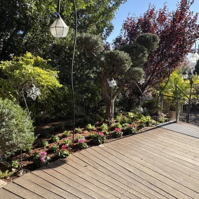 גינה עם פרחים צבעוניים ועצים ירוקים