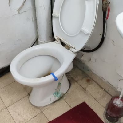 אסלה עם נזילה, צינורות ומברשת ניקוי