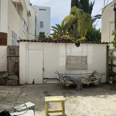 חצר עם מבנה קטן, עצים וצמחייה ברקע, כיסא קטן במרכז