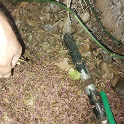 יד מחזיקה כלי ליד צינור מים בגינה