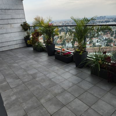 עציצים עם צמחים ירוקים ופרחים במרפסת