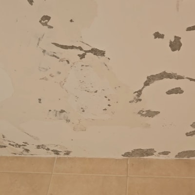 קיר עם קילופי צבע ותיקונים נדרשים