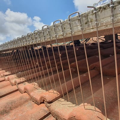 דוקרנים על גג למניעת יונים