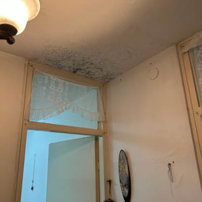 כתם עובש שחור על תקרת חדר ליד דלת