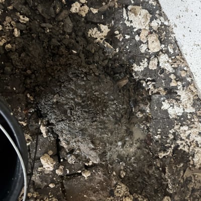 אדמה רטובה עם דלי שחור בצד