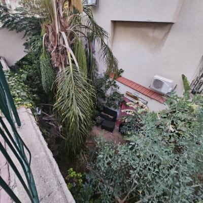 עצים וצמחים בגינה ליד בניין מגורים