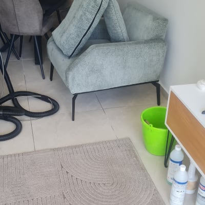 מוצרים וכלים לניקוי ספות ליד כורסה ושטיח