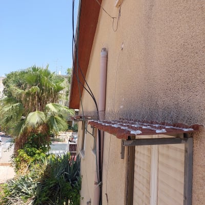 דוקרנים למניעת יונים על גג חלון בניין