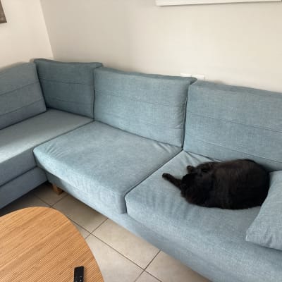 ספה עם כריות וחתול ישן עליה