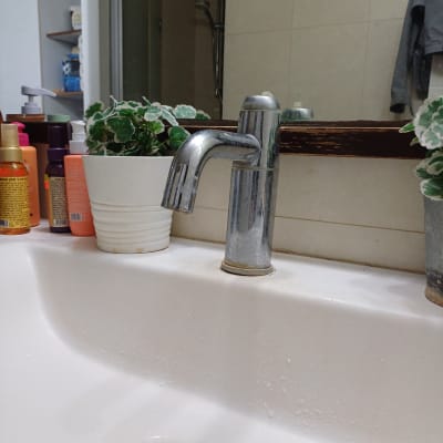 ברז מתכת בכיור עם צמחי נוי מסביב