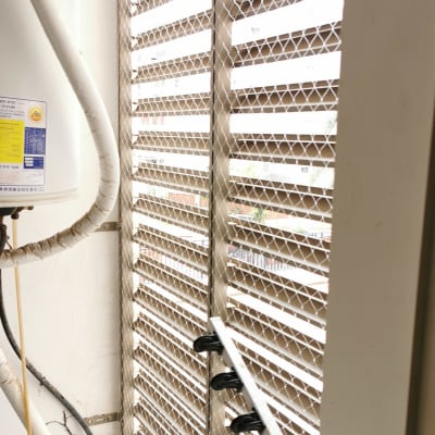 רשת מתכת על חלון עם דוקרנים למניעת יונים