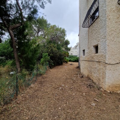 שטח חיצוני עם עצים ושביל עפר ליד בניין