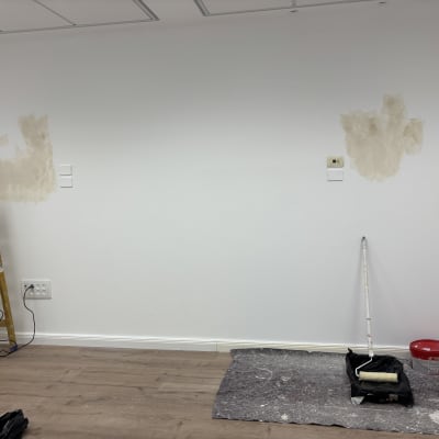 קיר עם סולם, רולר וצבע, עבודה בצביעה