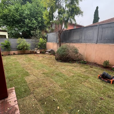 דשא חדש עם צינור השקיה וכלי גינון