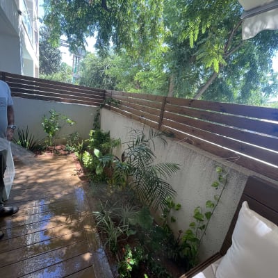 גינה קטנה עם צמחים ירוקים על אדמה רטובה