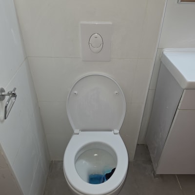 אסלה עם חומר ניקוי כחול