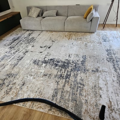 ניקוי שטיח עם שואב אבק בסלון מודרני