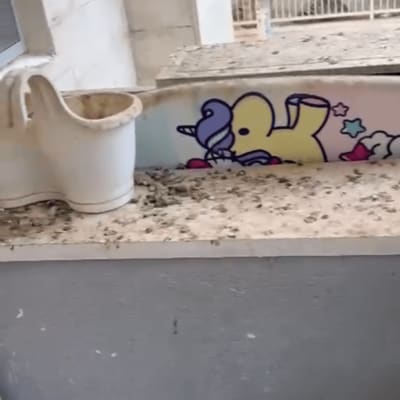 מרפסת מלוכלכת עם עציץ ריק וגרפיטי צבעוני