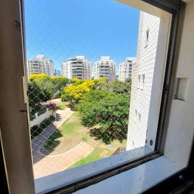 רשת יונים על חלון עם נוף לבניינים ועצים