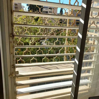 תריסים פתוחים עם נוף חיצוני של עצים ובניינים