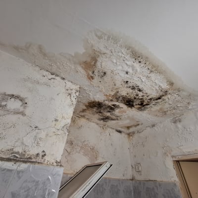 תקרה עם עובש ונזקי רטיבות בגבס