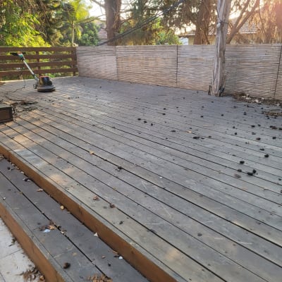 דק עץ עם עלים יבשים ומכונת ניקוי