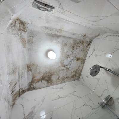 תקרה עם עובש במקלחת, ראש מקלחת מתכת