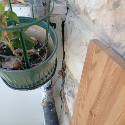 צינור שחור ליד קיר סדוק עם צמח בעציץ