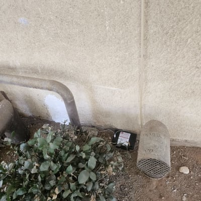 מלכודת מזיקים ליד קיר וצמחייה