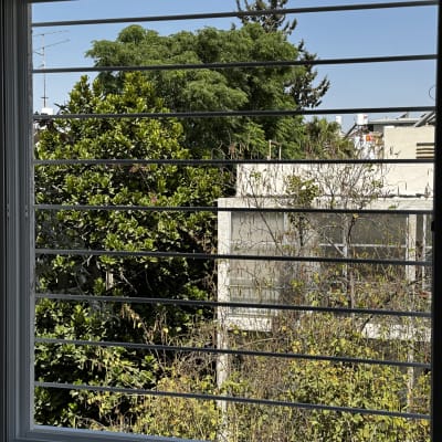 חלון עם תריסים אופקיים, נוף עצים ברקע