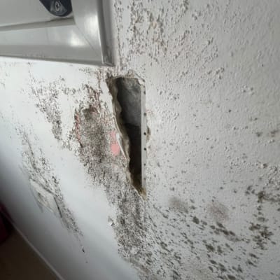 קיר עם עובש וחור לתיקון