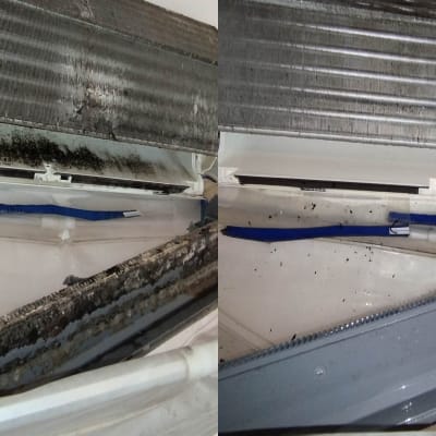 תמונת לפני ואחרי של ניקוי עובש מאסיבי מתוך מאייד של מזגן