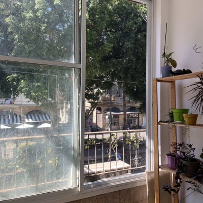 חלון אלומיניום עם נוף לעצים מבחוץ