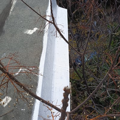 גג אטום עם שכבת איטום לבנה