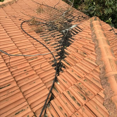 גג רעפים עם ענפים וחוטים על פני השטח