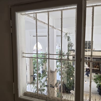 חלון עם סורגים וצמחים ברקע