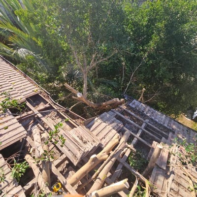 תמונה של גג עם ענפים ועבודות תיקון