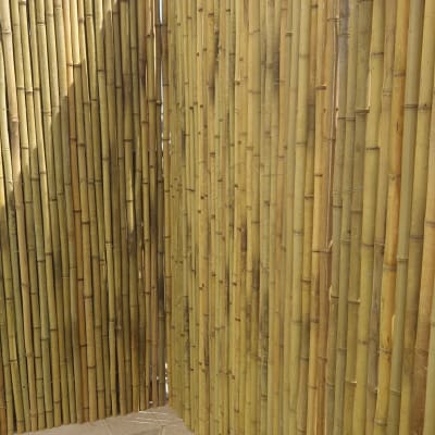 גדר במבוק בגינה עם דשא סינתטי