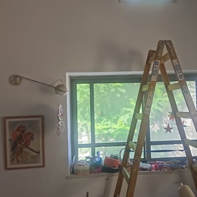 סולם ליד חלון זכוכית עם נוף ירוק בחוץ