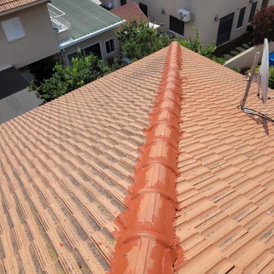 גג רעפים עם ציפוי אדום לאורך הרכס