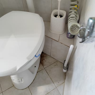 אסלה עם מברשת ניקוי וגליל נייר טואלט