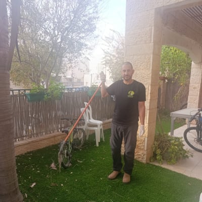 תמונה אינה מציגה עבודה בתחום