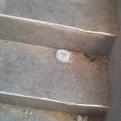 מדרגות עם לכלוך וענפים יבשים