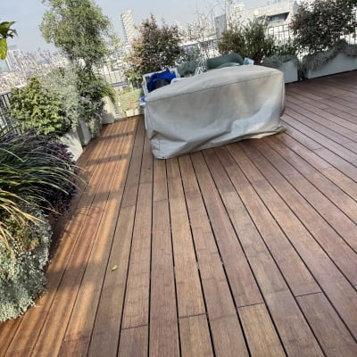 רצפת עץ עם עציצים ופרחים מסביב