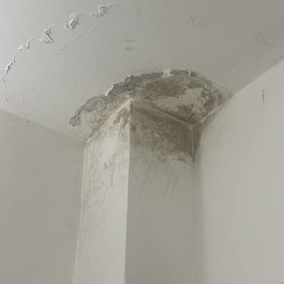רטיבות ועובש בתקרה ובקיר