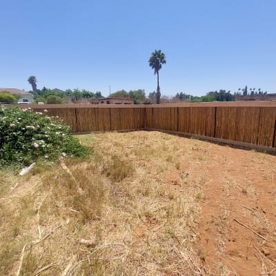 גדר עץ גבוהה מקיפה גינה עם עשב יבש