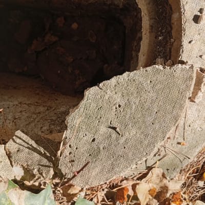 פתח ביוב שבור עם עלים יבשים מסביב